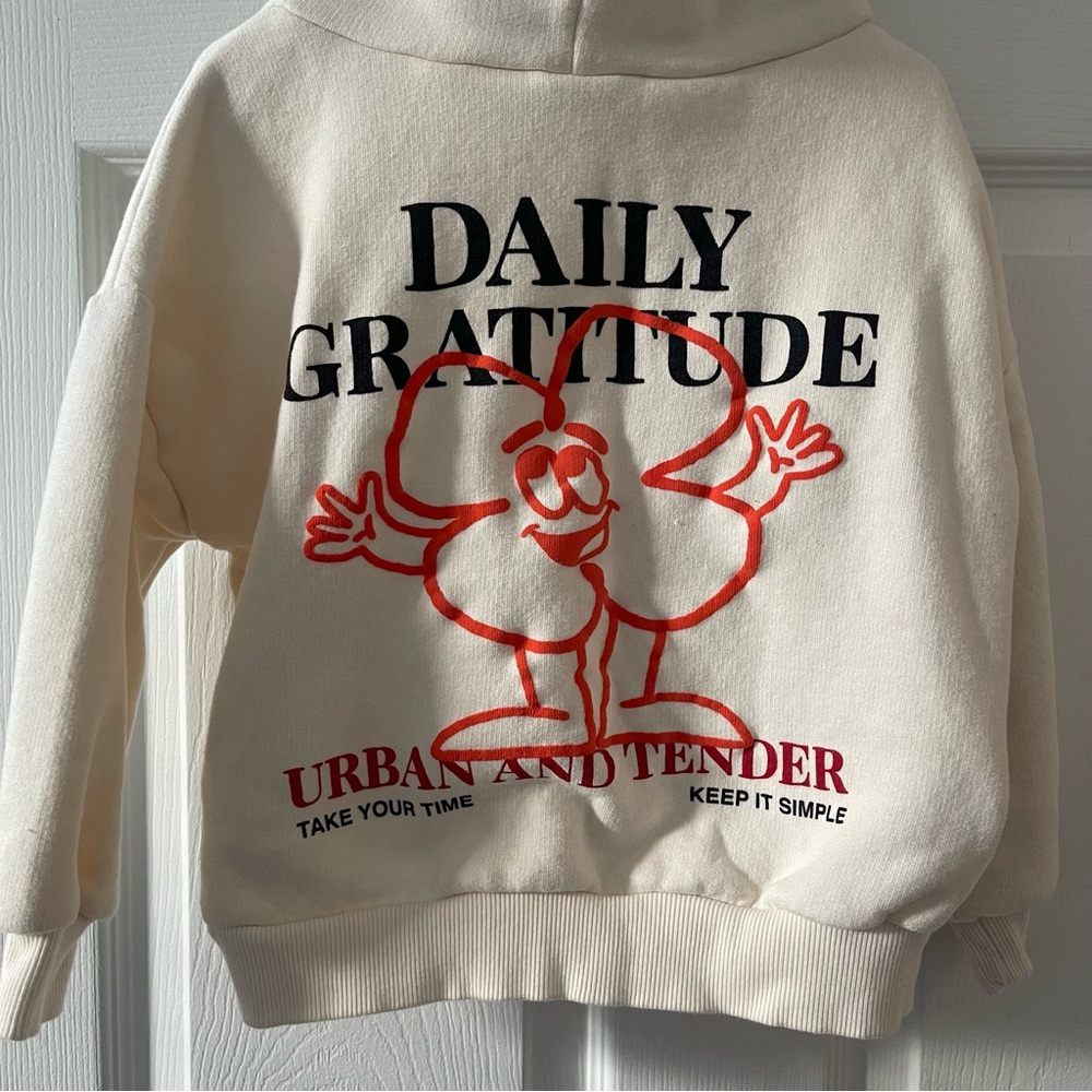 Zara Boy Sweatshirt